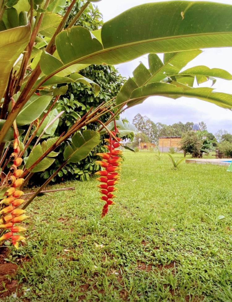 Casa A Metros Del Rio Parana Y Proximo A Esteros Del Ibera *